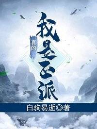 我真的是正派txt下载精校版